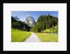 Rosenlaui Valley by Anonymous