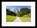 Rosenlaui Valley by Anonymous