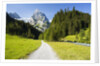 Rosenlaui Valley by Anonymous