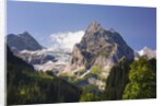 Rosenlaui Valley by Anonymous