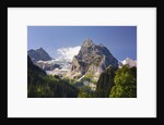 Rosenlaui Valley by Anonymous