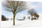 Winter scene by a chapel by Anonymous