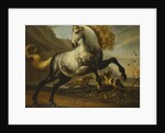 A Grey Prancing Stallion with Flowing Mane with Stallions Fighting in a Rocky Landscape by Anonymous