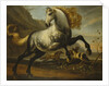 A Grey Prancing Stallion with Flowing Mane with Stallions Fighting in a Rocky Landscape by Anonymous