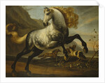 A Grey Prancing Stallion with Flowing Mane with Stallions Fighting in a Rocky Landscape by Anonymous