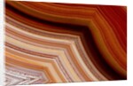 Close-up of Fortification Laguna Agate by Anonymous