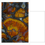 Wingate Pass Agate, Ca by Anonymous