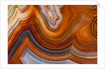 Fortifications Crazy Lace Agate by Anonymous