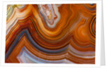 Fortifications Crazy Lace Agate by Anonymous