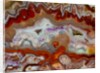 Zig Zag Pattern Crazy Lace Agate by Anonymous