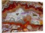 Zig Zag Pattern Crazy Lace Agate by Anonymous