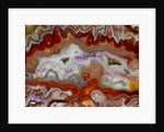 Zig Zag Pattern Crazy Lace Agate by Anonymous
