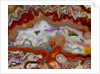Zig Zag Pattern Crazy Lace Agate by Anonymous