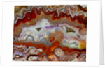 Zig Zag Pattern Crazy Lace Agate by Anonymous