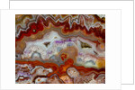 Zig Zag Pattern Crazy Lace Agate by Anonymous
