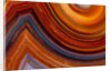 Close ups of Fortification on Crazy Lace Agate by Anonymous