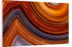 Close ups of Fortification on Crazy Lace Agate by Anonymous