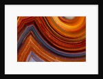 Close ups of Fortification on Crazy Lace Agate by Anonymous