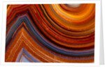 Close ups of Fortification on Crazy Lace Agate by Anonymous