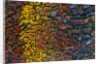 Colorful Petrified Dino Bone by Anonymous