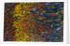 Colorful Petrified Dino Bone by Anonymous