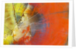 Colorful Petrified Wood by Anonymous