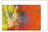 Colorful Petrified Wood by Anonymous