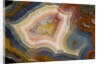 Condor Agate with fortifcations by Anonymous