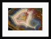 Condor Agate with fortifcations by Anonymous
