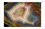 Condor Agate with fortifcations by Anonymous