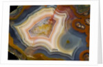 Condor Agate with fortifcations by Anonymous