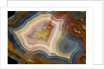 Condor Agate with fortifcations by Anonymous
