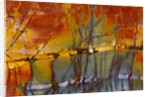 Cherry Creek Jasper by Anonymous