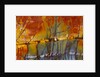 Cherry Creek Jasper by Anonymous