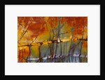 Cherry Creek Jasper by Anonymous
