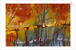 Cherry Creek Jasper by Anonymous