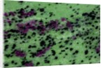 Zasite Stone with rudby & green by Anonymous