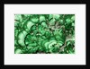 Malachite by Anonymous