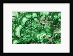 Malachite by Anonymous