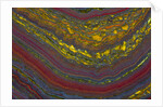 Tiger Eye by Anonymous