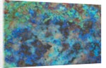 Chrysocolla by Anonymous
