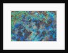 Chrysocolla by Anonymous