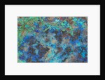 Chrysocolla by Anonymous
