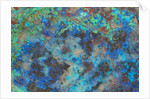 Chrysocolla by Anonymous