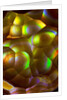 Fire Agate by Anonymous
