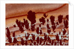 Close up Apache Jasper by Anonymous