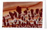Close up Apache Jasper by Anonymous