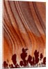 Close up Apache Jasper by Anonymous
