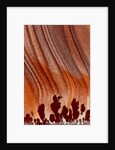 Close up Apache Jasper by Anonymous