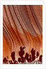 Close up Apache Jasper by Anonymous